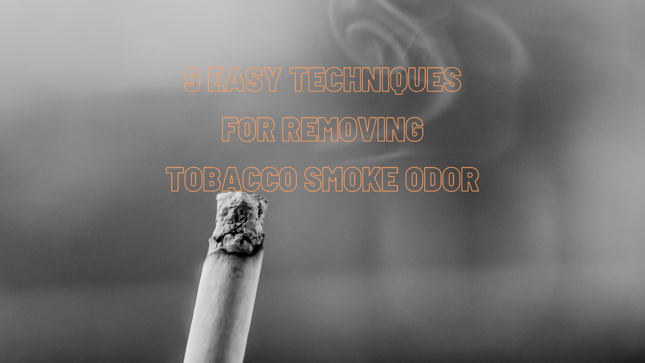 removing tobacco smoke odor