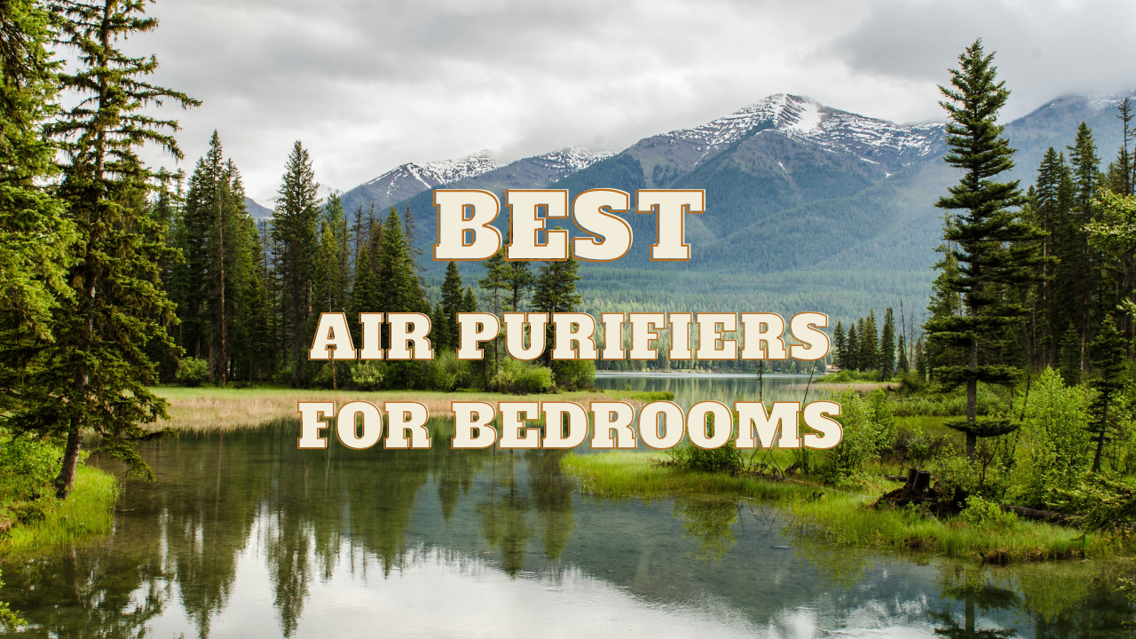 3 Best Air Purifiers For Bedrooms In 2022   Coffee Please 1 